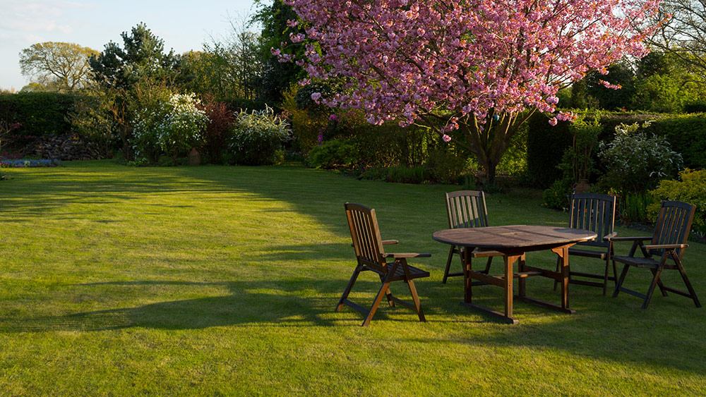 How to Manage Your Lawn in Late Summer